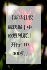 新华社权威快报｜中欧班列累计开行110000列