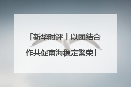 新华时评丨以团结合作共促南海稳定繁荣