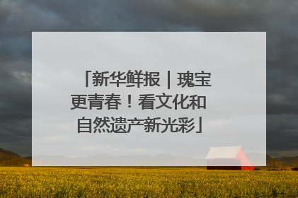 新华鲜报｜瑰宝更青春！看文化和自然遗产新光彩