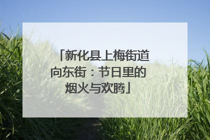 新化县上梅街道向东街：节日里的烟火与欢腾