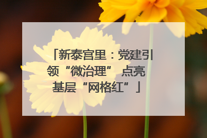 新泰宫里：党建引领“微治理” 点亮基层“网格红”