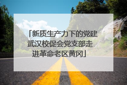 新质生产力下的党建 武汉校促会党支部走进革命老区黄冈