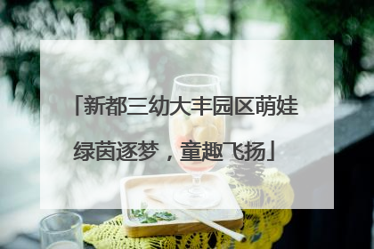 新都三幼大丰园区萌娃绿茵逐梦，童趣飞扬