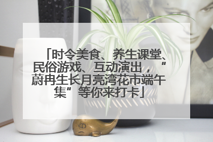 时令美食、养生课堂、民俗游戏、互动演出，“蔚冉生长月亮湾花市端午集”等你来打卡