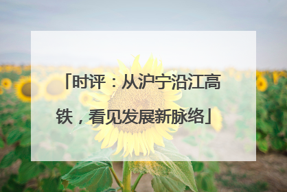 时评：从沪宁沿江高铁，看见发展新脉络