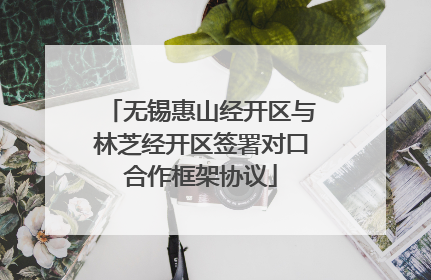无锡惠山经开区与林芝经开区签署对口合作框架协议