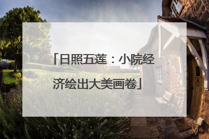 日照五莲：小院经济绘出大美画卷
