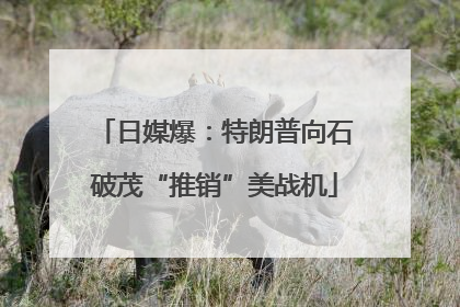 日媒爆：特朗普向石破茂“推销”美战机