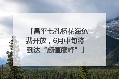 昌平七孔桥花海免费开放，6月中旬将到达“颜值巅峰”