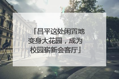 昌平这处闲置地变身大花园，成为校园崭新会客厅