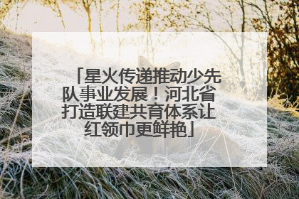 星火传递推动少先队事业发展！河北省打造联建共育体系让红领巾更鲜艳