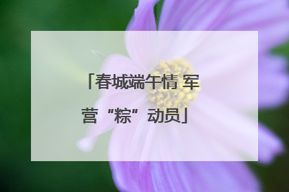 春城端午情 军营“粽”动员