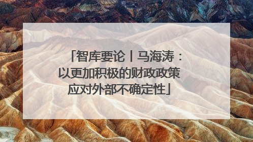 智库要论丨马海涛：以更加积极的财政政策应对外部不确定性