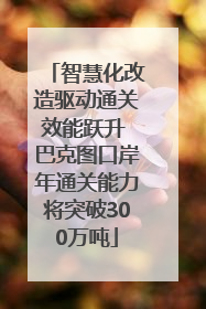 智慧化改造驱动通关效能跃升 巴克图口岸年通关能力将突破300万吨