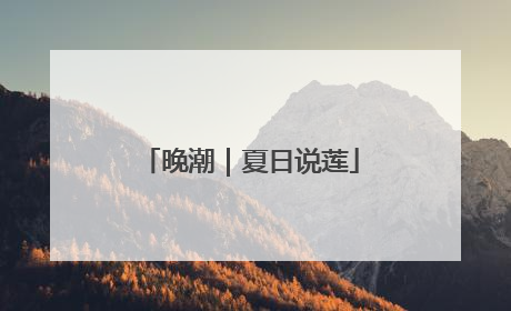 晚潮｜夏日说莲