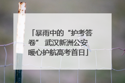 暴雨中的“护考答卷” 武汉新洲公安暖心护航高考首日