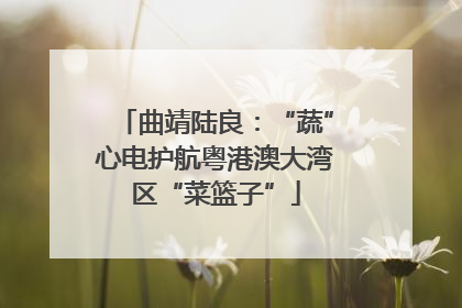 曲靖陆良：“蔬”心电护航粤港澳大湾区“菜篮子”