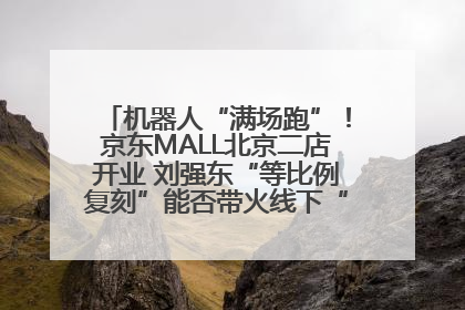 机器人“满场跑”！京东MALL北京二店开业 刘强东“等比例复刻”能否带火线下“618”？