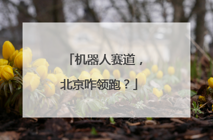 机器人赛道，北京咋领跑？