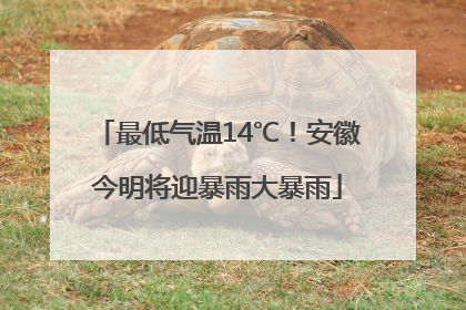 最低气温14℃！安徽今明将迎暴雨大暴雨
