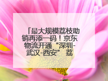 最大规模荔枝助销再添一码！京东物流开通“深圳-武汉-西安” 荔枝全货机航线