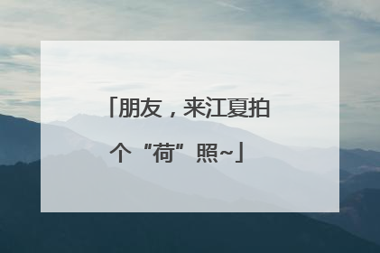 朋友，来江夏拍个“荷”照~