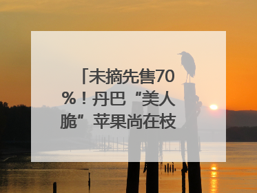 未摘先售70%！丹巴“美人脆”苹果尚在枝头就被预订｜长征路上看四川