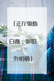正厅级陈白薇，新职务明确