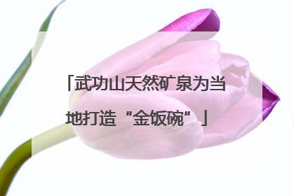 武功山天然矿泉为当地打造“金饭碗”
