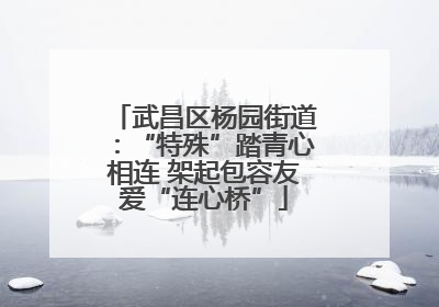 武昌区杨园街道：“特殊”踏青心相连 架起包容友爱“连心桥”