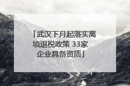 武汉下月起落实离境退税政策 33家企业具备资质