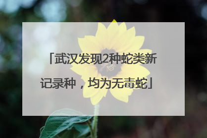 武汉发现2种蛇类新记录种，均为无毒蛇