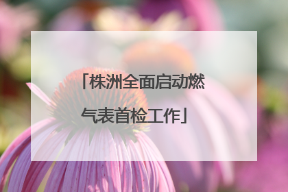 株洲全面启动燃气表首检工作