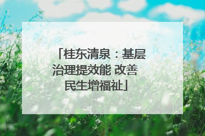 桂东清泉：基层治理提效能 改善民生增福祉