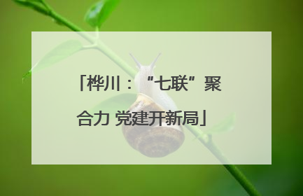 桦川：“七联”聚合力 党建开新局