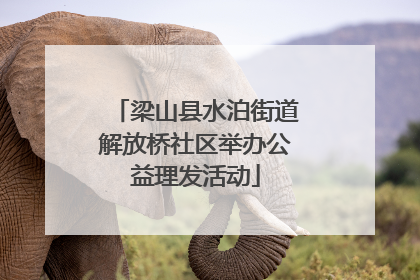 梁山县水泊街道解放桥社区举办公益理发活动