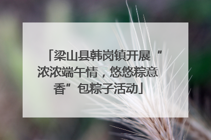 梁山县韩岗镇开展“浓浓端午情，悠悠粽意香”包粽子活动