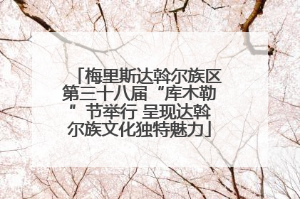梅里斯达斡尔族区第三十八届“库木勒”节举行 呈现达斡尔族文化独特魅力