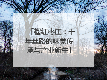 榴红枣庄：千年丝路的味觉传承与产业新生