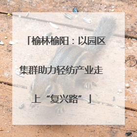 榆林榆阳：以园区集群助力轻纺产业走上“复兴路”