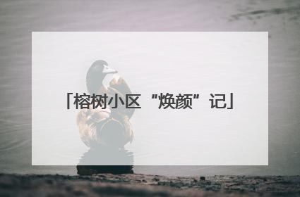 榕树小区“焕颜”记