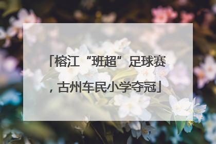 榕江“班超”足球赛，古州车民小学夺冠
