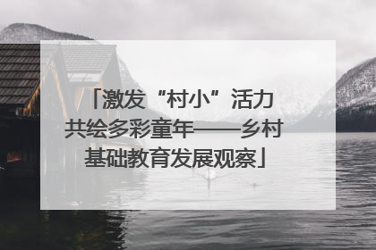激发“村小”活力 共绘多彩童年——乡村基础教育发展观察
