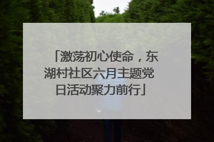 激荡初心使命，东湖村社区六月主题党日活动聚力前行