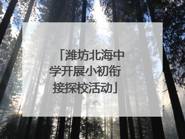 潍坊北海中学开展小初衔接探校活动