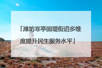 潍坊寒亭固堤街道多维度提升民生服务水平