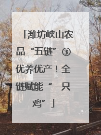 潍坊峡山农品“五链”③优养优产！全链赋能“一只鸡”