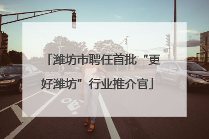 潍坊市聘任首批“更好潍坊”行业推介官