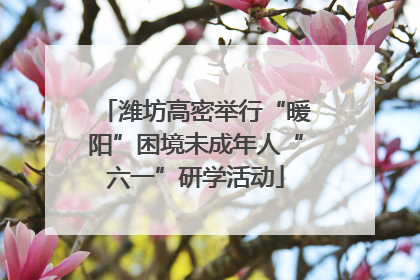 潍坊高密举行“暖阳”困境未成年人“六一”研学活动