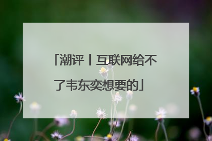 潮评丨互联网给不了韦东奕想要的